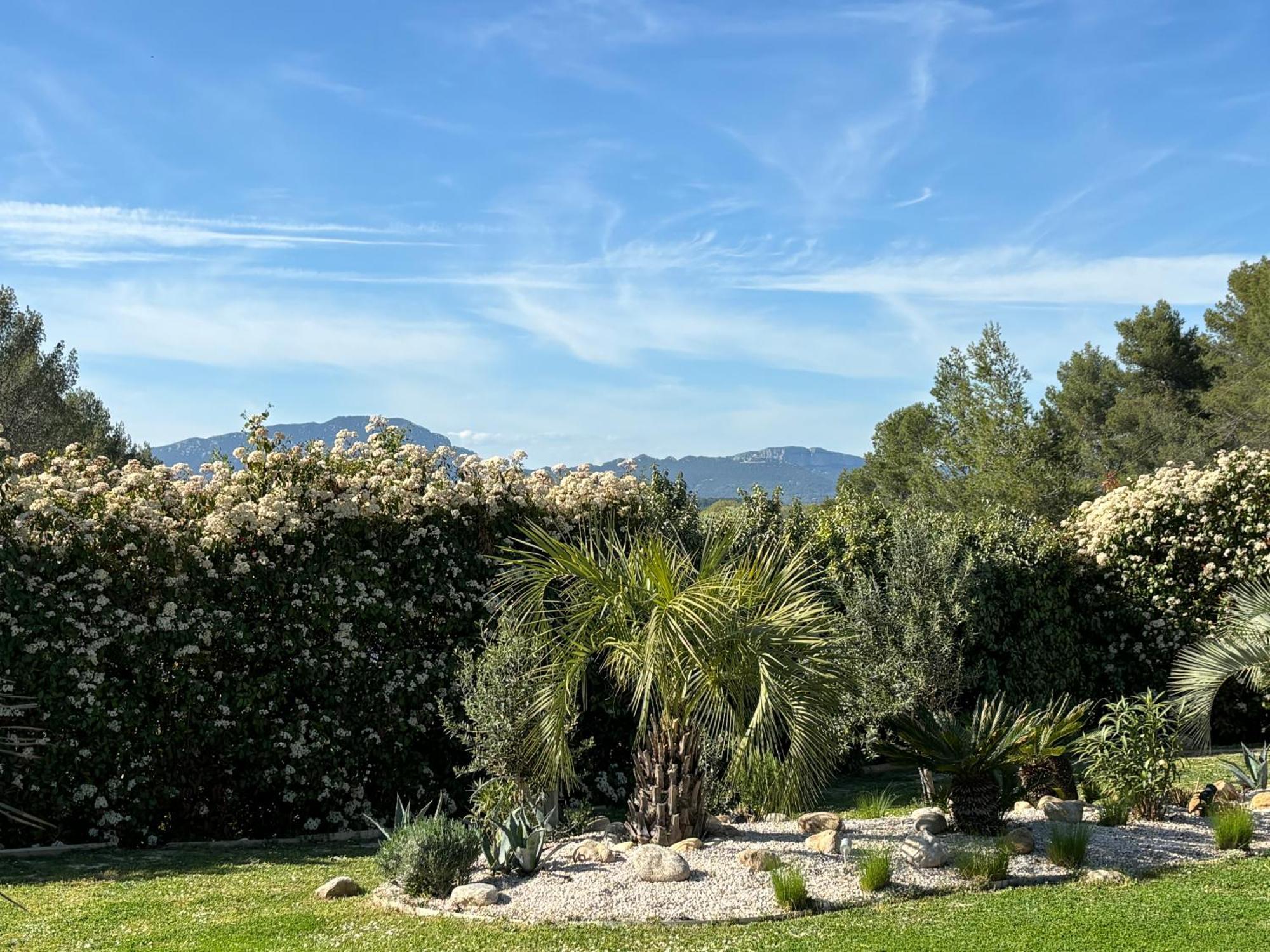 Villa Joli Havre De Paix Prades-le-Lez Esterno foto